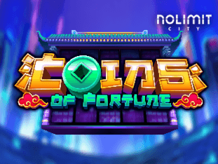 Coins Of Fortune icon